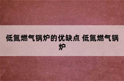 低氮燃气锅炉的优缺点 低氮燃气锅炉